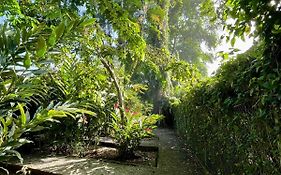 Hotel Exotic Lodge